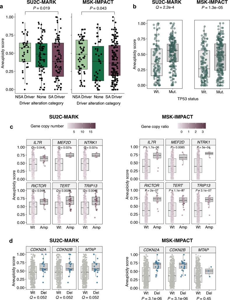 https://cdn.ncbi.nlm.nih.gov/pmc/blobs/75ef/11339421/7ac6d89619f5/41598_2024_66062_Fig2_HTML.jpg