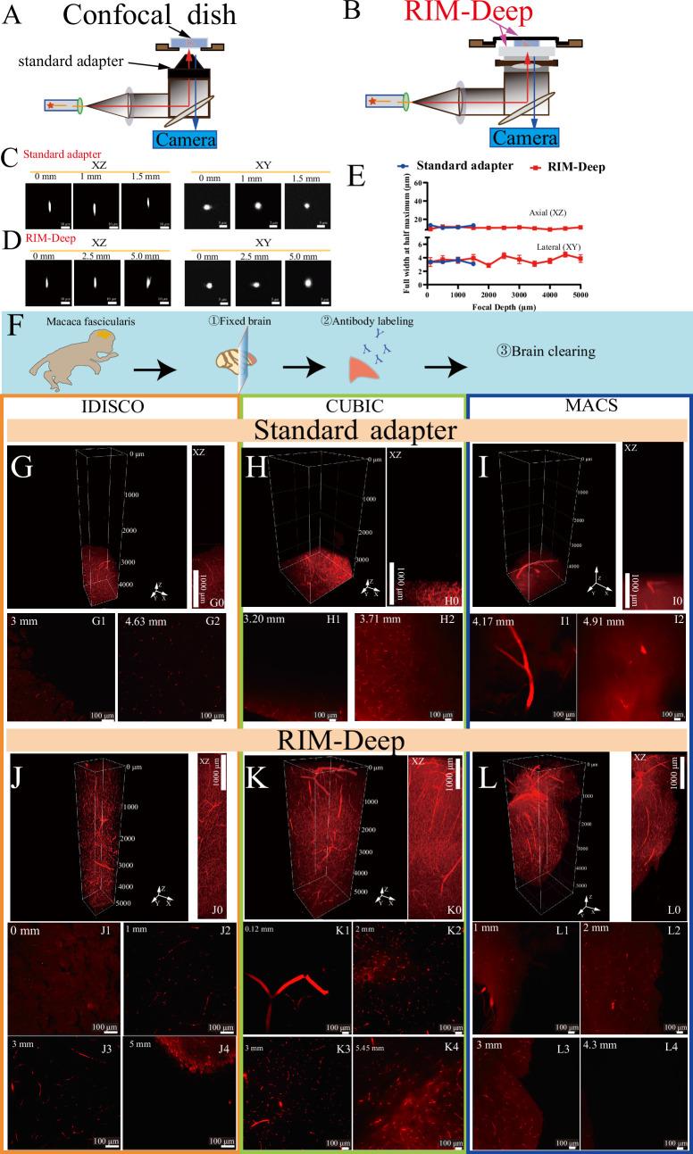 https://cdn.ncbi.nlm.nih.gov/pmc/blobs/75f1/11975368/9b3a29e5cfd7/elife-101143-fig1.jpg