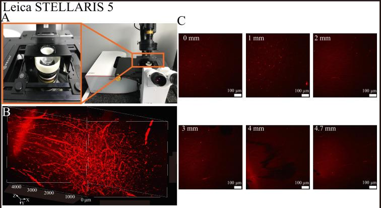 https://cdn.ncbi.nlm.nih.gov/pmc/blobs/75f1/11975368/c0bbb29c75de/elife-101143-fig1-figsupp3.jpg