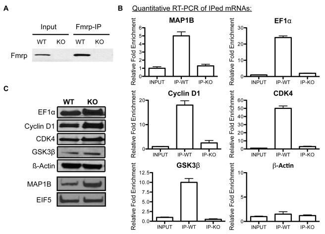 https://cdn.ncbi.nlm.nih.gov/pmc/blobs/75f1/2851565/657a4fb67510/pgen.1000898.g005.jpg