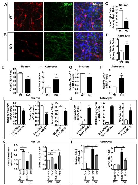 https://cdn.ncbi.nlm.nih.gov/pmc/blobs/75f1/2851565/99552f2c8e1e/pgen.1000898.g002.jpg