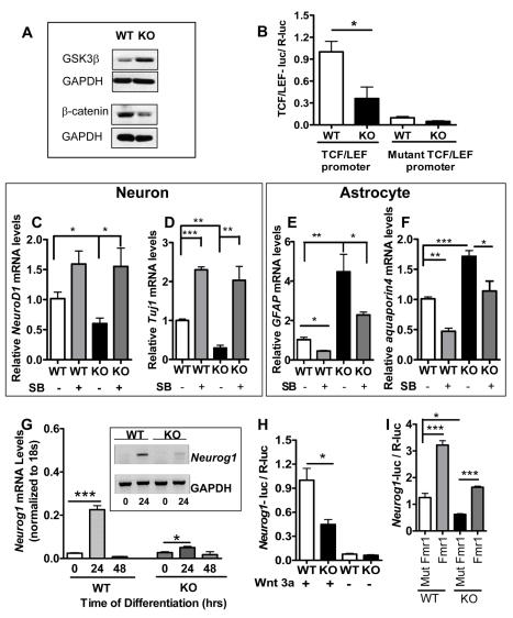 https://cdn.ncbi.nlm.nih.gov/pmc/blobs/75f1/2851565/ed309be0095d/pgen.1000898.g006.jpg