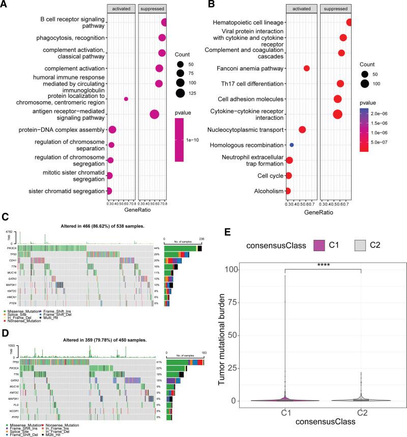 https://cdn.ncbi.nlm.nih.gov/pmc/blobs/75f2/11977702/52f34eaaf088/medi-104-e42076-g005.jpg