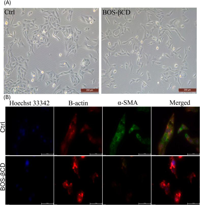 https://cdn.ncbi.nlm.nih.gov/pmc/blobs/75f3/11854225/6901d77d77ad/d4na00916a-f5.jpg