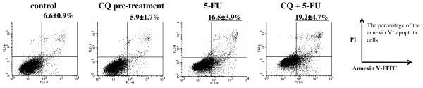 https://cdn.ncbi.nlm.nih.gov/pmc/blobs/75f5/2914703/8fa2588e0cfc/1471-2407-10-370-5.jpg