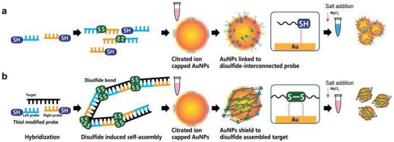 https://cdn.ncbi.nlm.nih.gov/pmc/blobs/75f5/9608708/7ee374baf9b7/nanomaterials-12-03550-g003.jpg