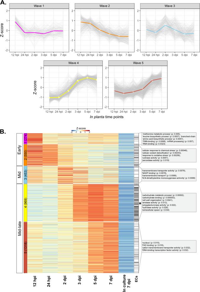 https://cdn.ncbi.nlm.nih.gov/pmc/blobs/75f5/9632046/603f49f5065d/12915_2022_1442_Fig2_HTML.jpg