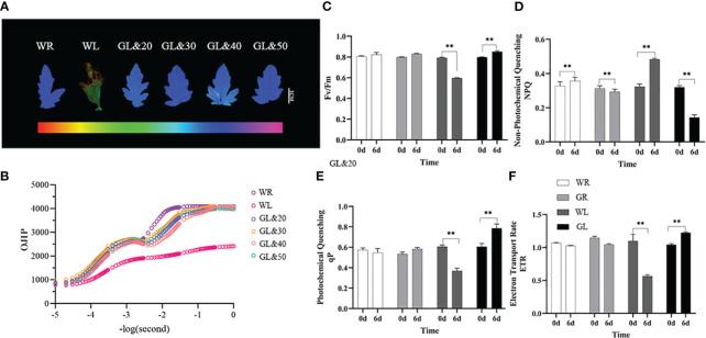 https://cdn.ncbi.nlm.nih.gov/pmc/blobs/75f7/10995342/be2c49bf35d1/fpls-15-1332583-g003.jpg