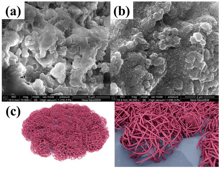 https://cdn.ncbi.nlm.nih.gov/pmc/blobs/75f8/11314101/9483d14888e5/molecules-29-03662-g005.jpg