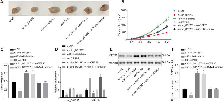 https://cdn.ncbi.nlm.nih.gov/pmc/blobs/75f8/7706056/f40313879c21/13046_2020_1744_Fig7_HTML.jpg