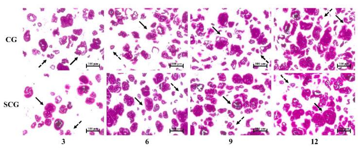 https://cdn.ncbi.nlm.nih.gov/pmc/blobs/75f9/8750783/0f0d68526aef/foods-11-00009-g003.jpg