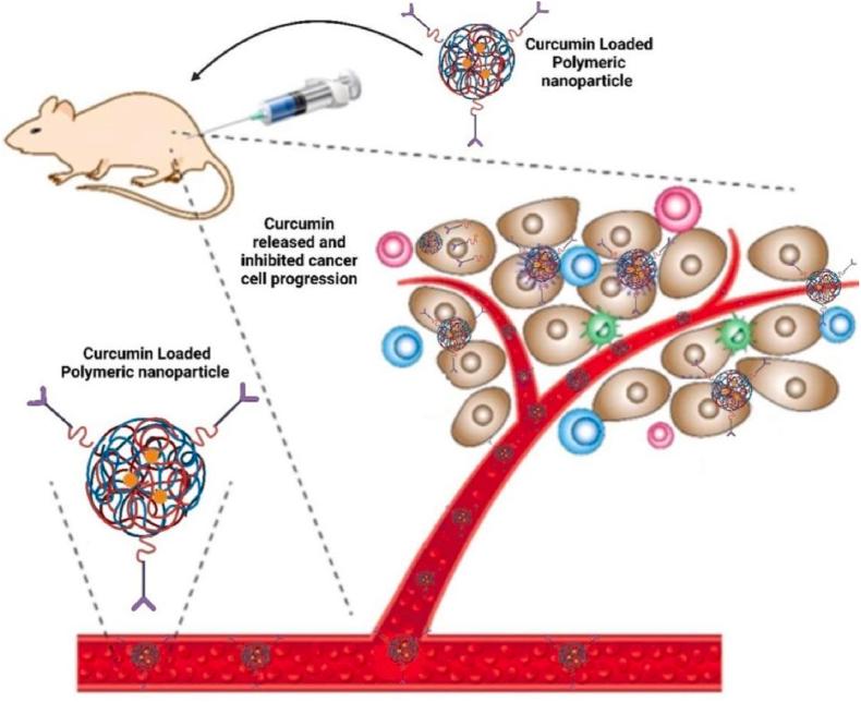 https://cdn.ncbi.nlm.nih.gov/pmc/blobs/75fd/12198038/c0e7782836f9/gr8.jpg