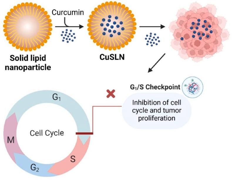 https://cdn.ncbi.nlm.nih.gov/pmc/blobs/75fd/12198038/c7e25ae36e9f/gr16.jpg
