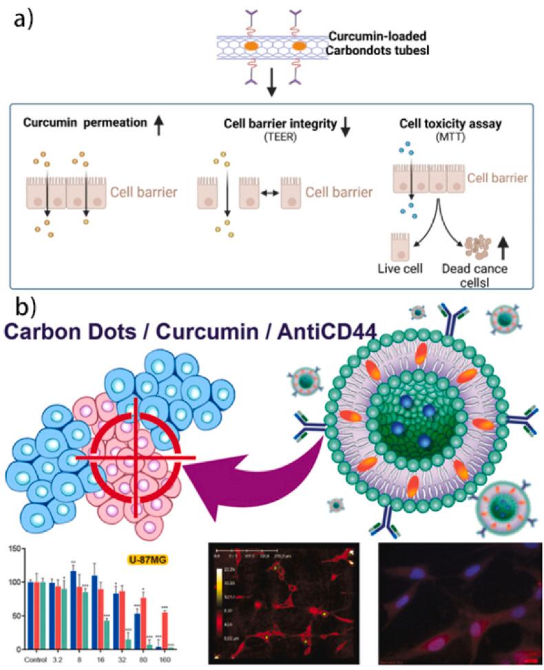https://cdn.ncbi.nlm.nih.gov/pmc/blobs/75fd/12198038/de19efa64570/gr10.jpg