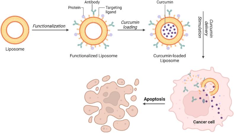 https://cdn.ncbi.nlm.nih.gov/pmc/blobs/75fd/12198038/eb1ad11db2a2/gr7.jpg