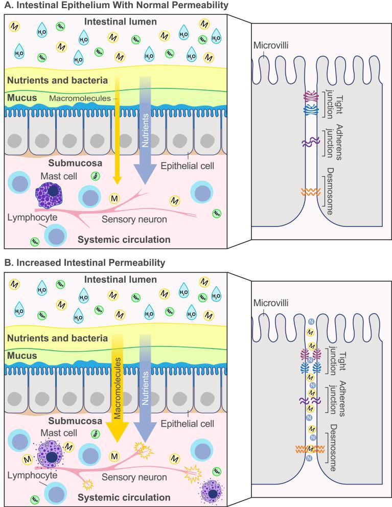 https://cdn.ncbi.nlm.nih.gov/pmc/blobs/75fe/11164200/1a3af21ec9c8/CEG-17-173-g0001.jpg