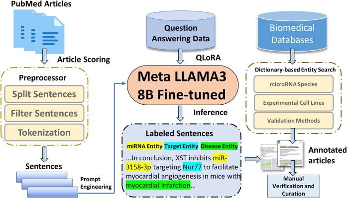 https://cdn.ncbi.nlm.nih.gov/pmc/blobs/75fe/11701613/898fd5fdd4e9/gkae1072fig2.jpg