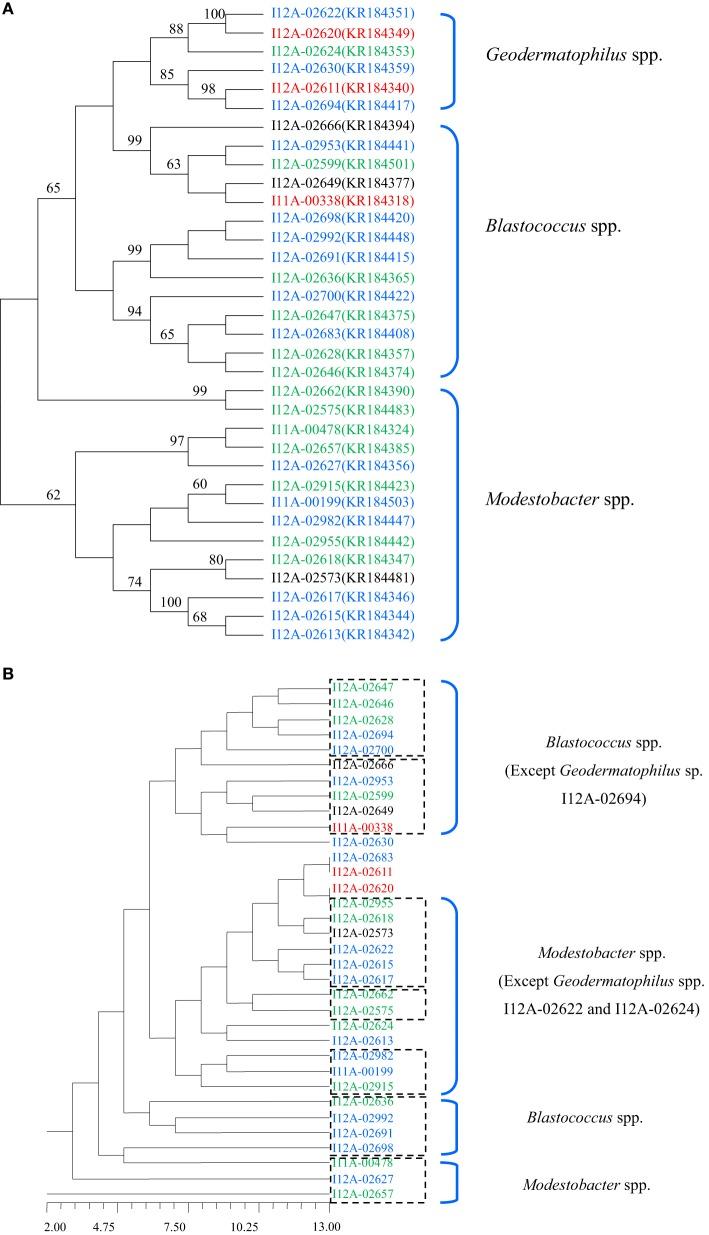 https://cdn.ncbi.nlm.nih.gov/pmc/blobs/75ff/4588033/288158451fd1/fmicb-06-01059-g0002.jpg