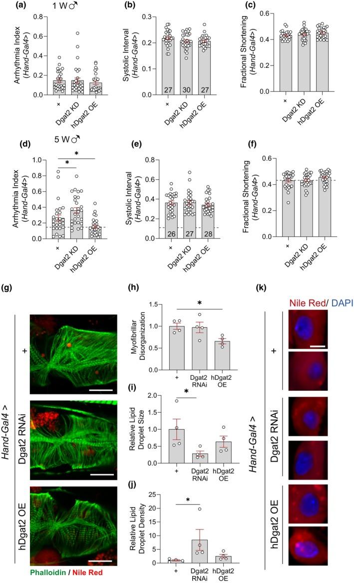 https://cdn.ncbi.nlm.nih.gov/pmc/blobs/7601/11258440/a2ed2ac75c5d/ACEL-23-e14169-g002.jpg
