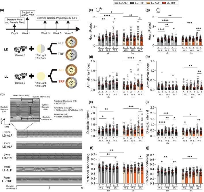 https://cdn.ncbi.nlm.nih.gov/pmc/blobs/7601/11258440/afc6759379b6/ACEL-23-e14169-g006.jpg