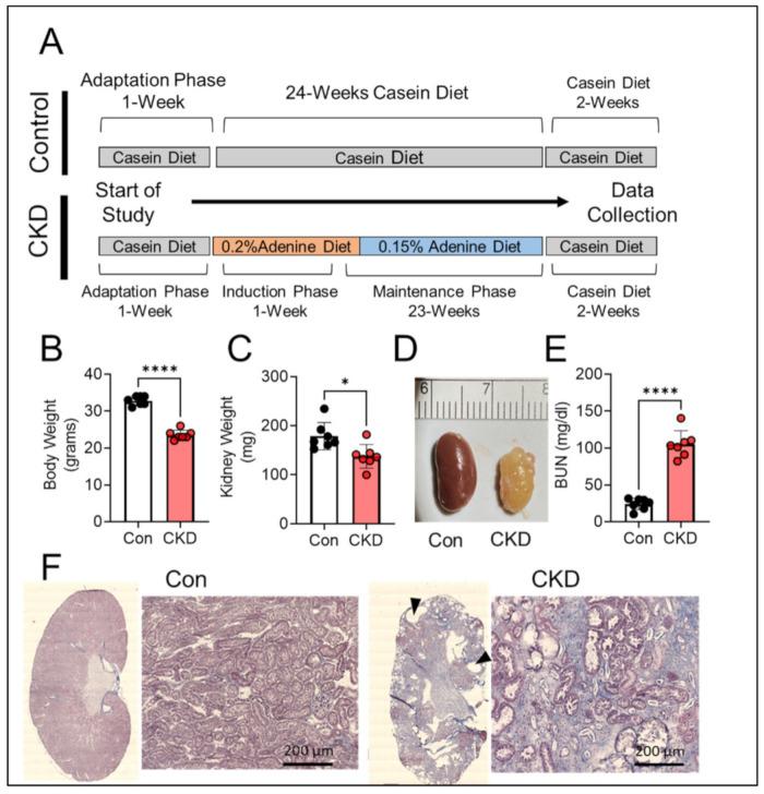 https://cdn.ncbi.nlm.nih.gov/pmc/blobs/7602/8699079/8a7963b3e4c4/cells-10-03282-g002.jpg