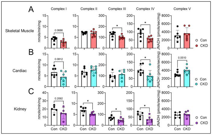 https://cdn.ncbi.nlm.nih.gov/pmc/blobs/7602/8699079/ed62f3a5c246/cells-10-03282-g005.jpg