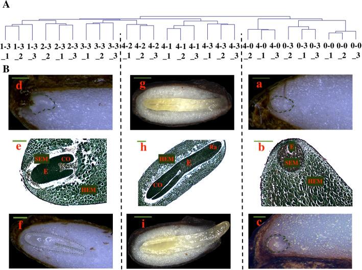 https://cdn.ncbi.nlm.nih.gov/pmc/blobs/7603/11308244/7c6553f43922/12870_2024_5471_Fig4_HTML.jpg