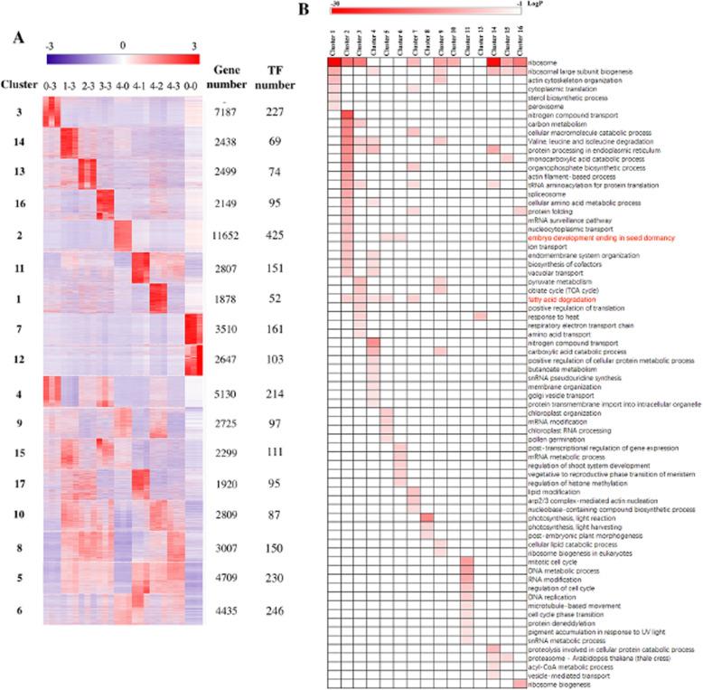 https://cdn.ncbi.nlm.nih.gov/pmc/blobs/7603/11308244/b527374d7a95/12870_2024_5471_Fig8_HTML.jpg