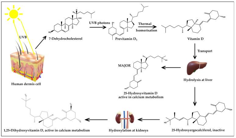 https://cdn.ncbi.nlm.nih.gov/pmc/blobs/7604/9104107/5c2f9b74ac40/ijerph-19-05681-g005.jpg