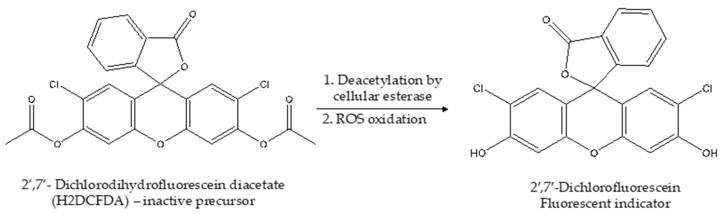 https://cdn.ncbi.nlm.nih.gov/pmc/blobs/7604/9104107/64fa8f695180/ijerph-19-05681-sch001.jpg