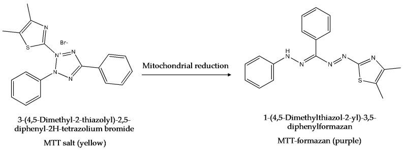 https://cdn.ncbi.nlm.nih.gov/pmc/blobs/7604/9104107/b477b94658e7/ijerph-19-05681-sch002.jpg