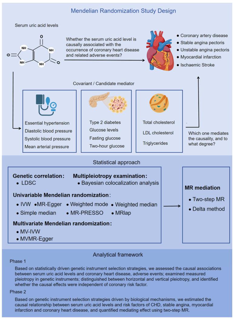 https://cdn.ncbi.nlm.nih.gov/pmc/blobs/7605/12383975/da6f86e4fe82/biomedicines-13-01838-g001.jpg