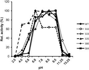 https://cdn.ncbi.nlm.nih.gov/pmc/blobs/7605/4491590/d5ef3a41cb6e/gr2.jpg