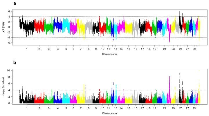 https://cdn.ncbi.nlm.nih.gov/pmc/blobs/7605/6947233/03d004d27a21/genes-10-00976-g006.jpg