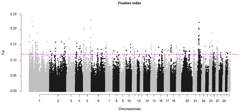 https://cdn.ncbi.nlm.nih.gov/pmc/blobs/7605/6947233/5921dfb77e25/genes-10-00976-g005.jpg