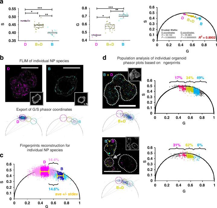 https://cdn.ncbi.nlm.nih.gov/pmc/blobs/7608/12343940/2ea9960a3242/41377_2025_1949_Fig5_HTML.jpg