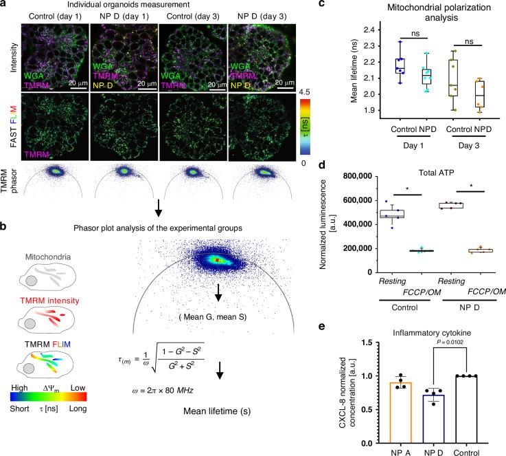 https://cdn.ncbi.nlm.nih.gov/pmc/blobs/7608/12343940/af9b6b6c5e6d/41377_2025_1949_Fig6_HTML.jpg