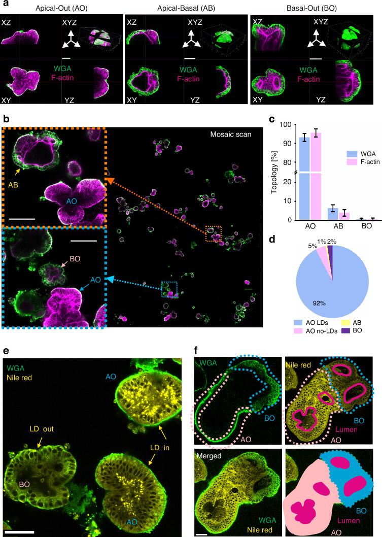 https://cdn.ncbi.nlm.nih.gov/pmc/blobs/7608/12343940/d6954b869a45/41377_2025_1949_Fig2_HTML.jpg