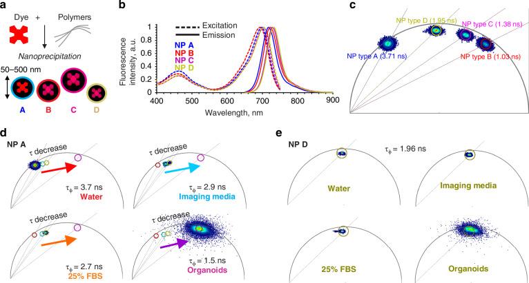 https://cdn.ncbi.nlm.nih.gov/pmc/blobs/7608/12343940/df49fa12e2f2/41377_2025_1949_Fig1_HTML.jpg