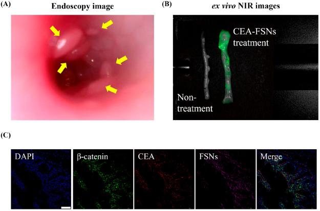 https://cdn.ncbi.nlm.nih.gov/pmc/blobs/760d/11653400/5f73f643e4c7/mt4c00072_0006.jpg