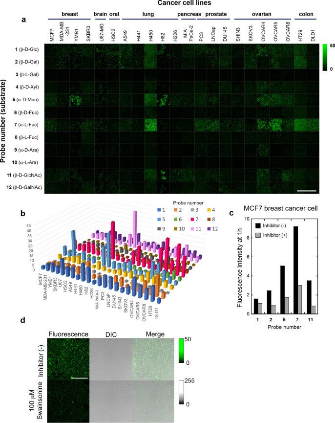 https://cdn.ncbi.nlm.nih.gov/pmc/blobs/760e/7760471/8d5d5b08b050/oc0c01189_0002.jpg