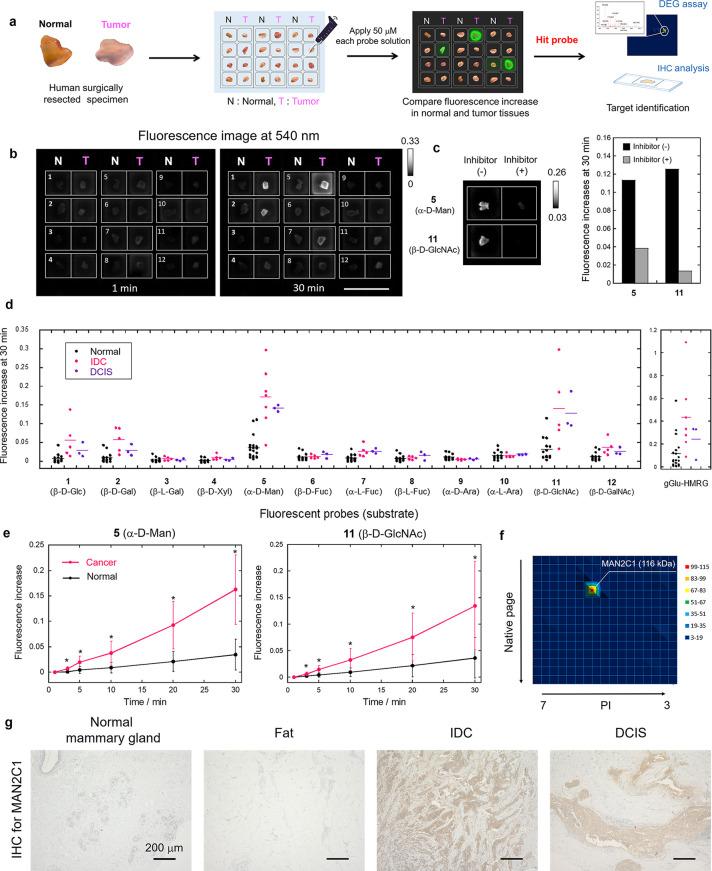 https://cdn.ncbi.nlm.nih.gov/pmc/blobs/760e/7760471/f40e578e8389/oc0c01189_0003.jpg