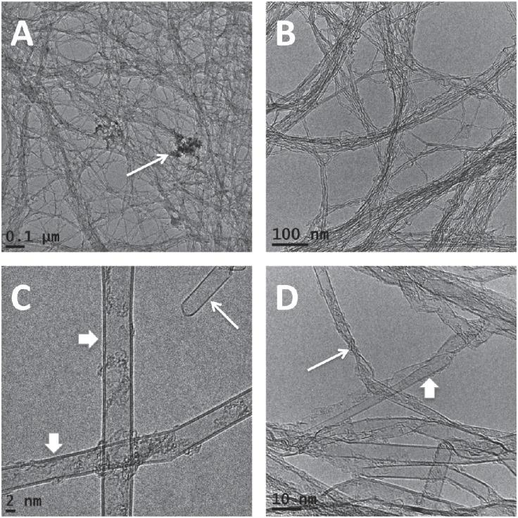 https://cdn.ncbi.nlm.nih.gov/pmc/blobs/760f/4361521/80cc77ba582c/2186-3326-77-0195-g001.jpg