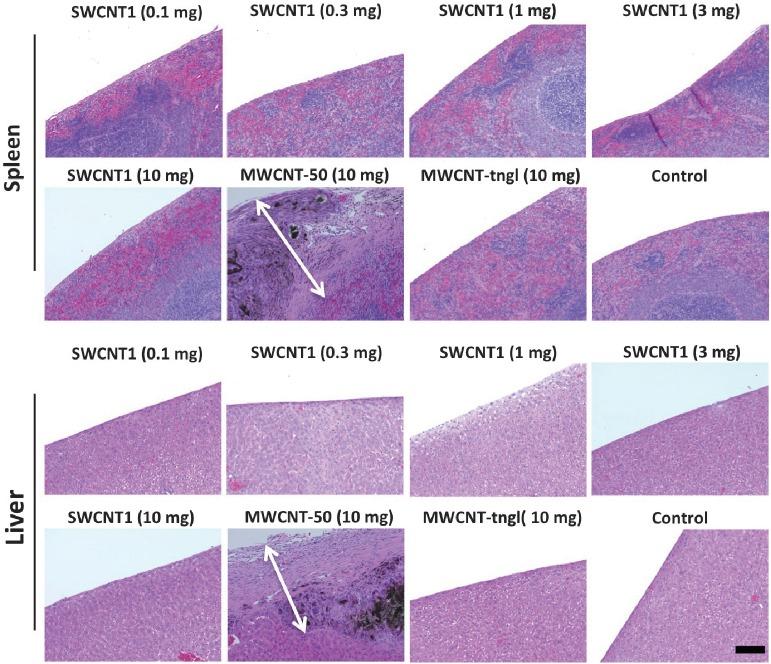 https://cdn.ncbi.nlm.nih.gov/pmc/blobs/760f/4361521/b8bd96ea5c70/2186-3326-77-0195-g004.jpg