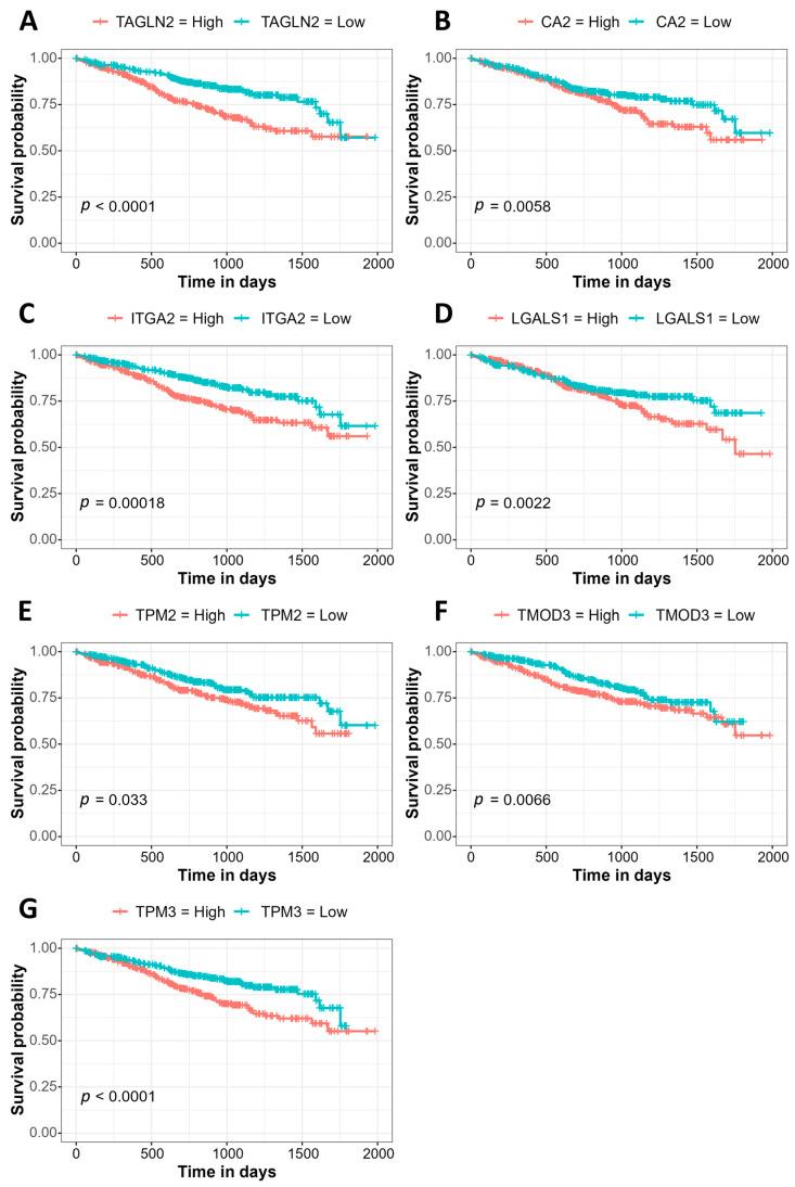 https://cdn.ncbi.nlm.nih.gov/pmc/blobs/7611/10417544/3caa63676774/cancers-15-03764-g003.jpg