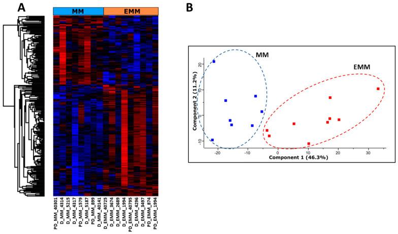 https://cdn.ncbi.nlm.nih.gov/pmc/blobs/7611/10417544/661401fe66b2/cancers-15-03764-g001.jpg