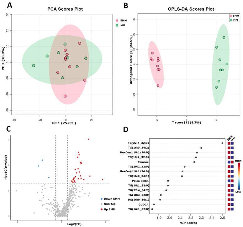 https://cdn.ncbi.nlm.nih.gov/pmc/blobs/7611/10417544/84e1f9d9a363/cancers-15-03764-g008.jpg