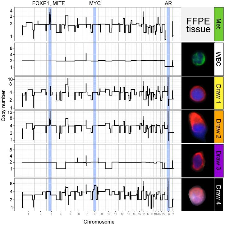 https://cdn.ncbi.nlm.nih.gov/pmc/blobs/7612/4118839/7289b9920ff1/pone.0101777.g002.jpg