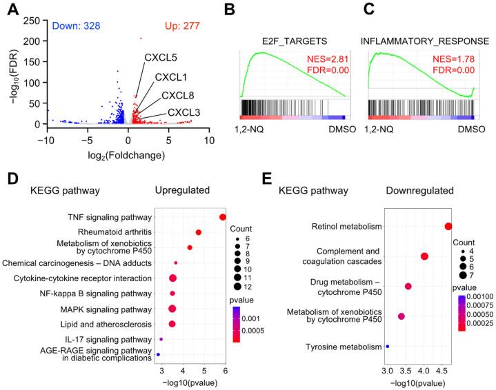 https://cdn.ncbi.nlm.nih.gov/pmc/blobs/7613/11546359/1ff02ad08029/ijms-25-11592-g003.jpg