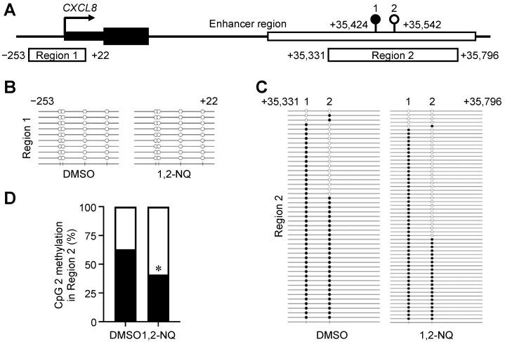 https://cdn.ncbi.nlm.nih.gov/pmc/blobs/7613/11546359/2dba718e47ba/ijms-25-11592-g005.jpg